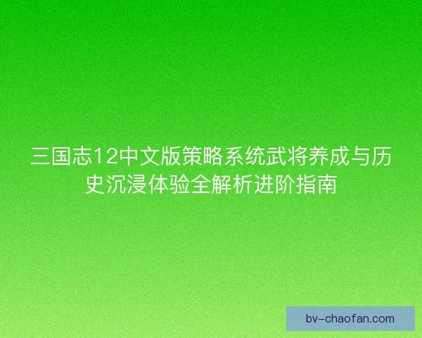 三国志12中文版策略系统武将养成与历史沉浸体验全解析进阶指南